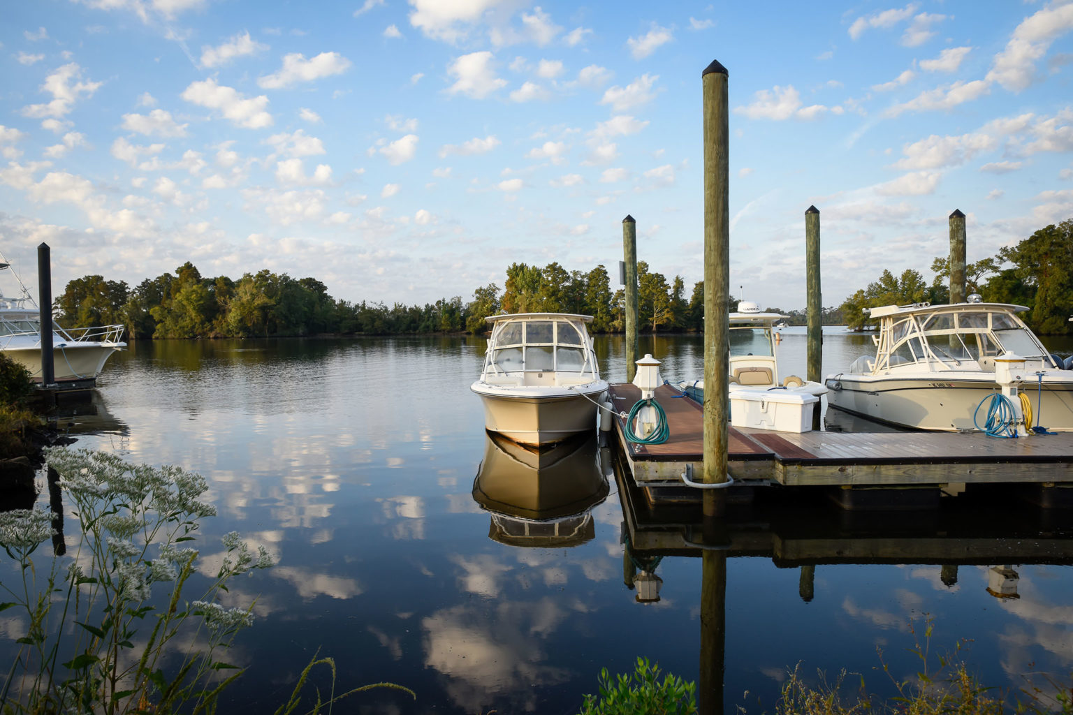 Moss Landing See photos & videos from Washington, NC
